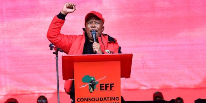 Julius Malema