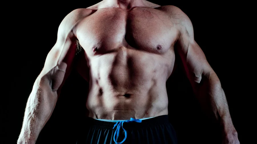 Muscular and Strong Chest