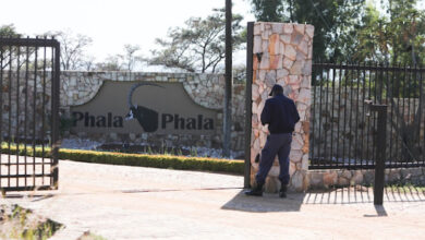 Phala Phala