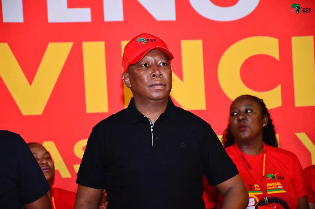 Julius Malema