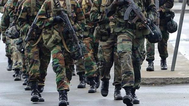 Seven Djiboutian troops