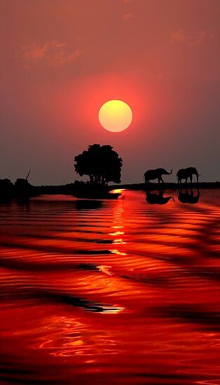 Chobe National Park