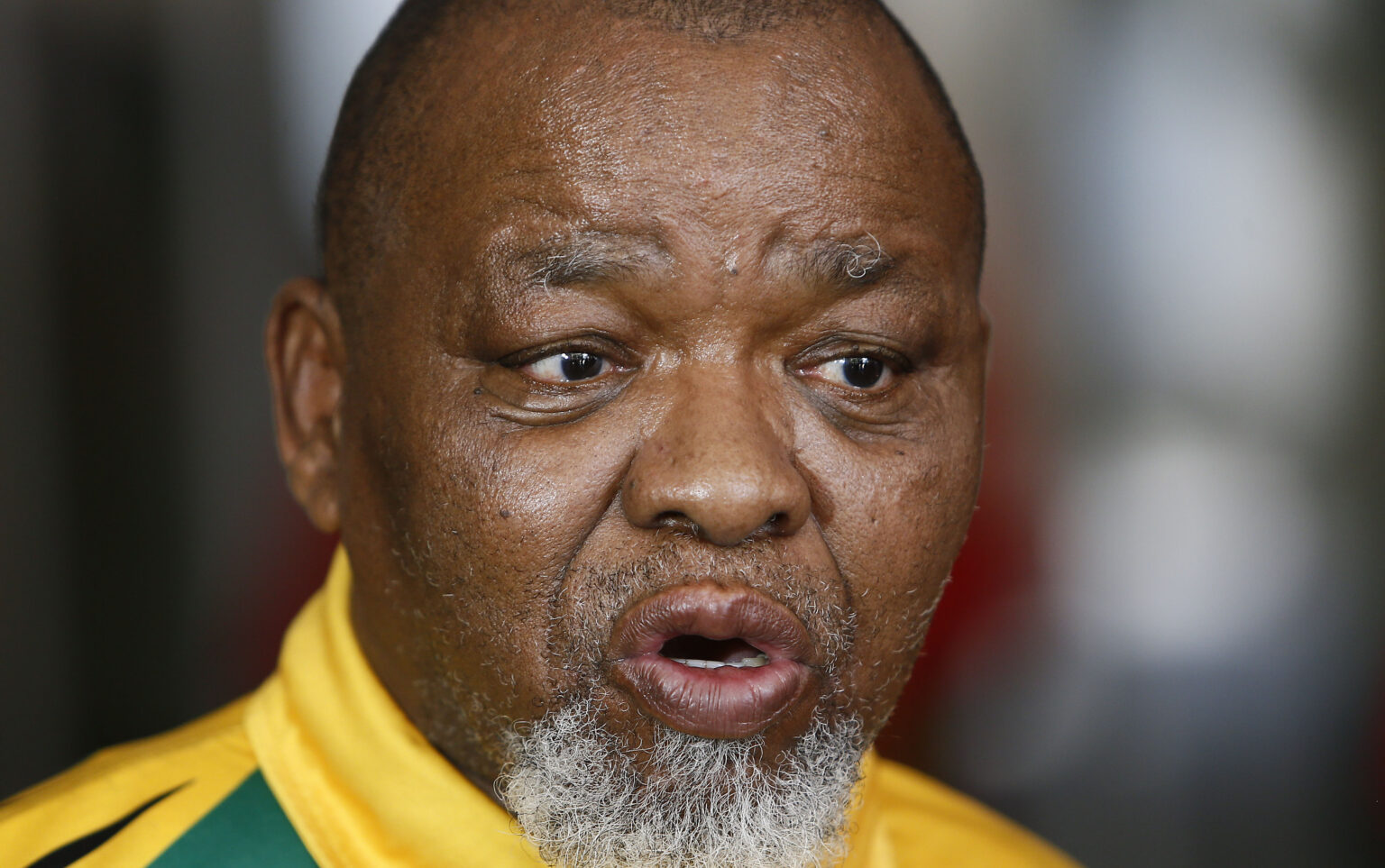 Gwede Mantashe