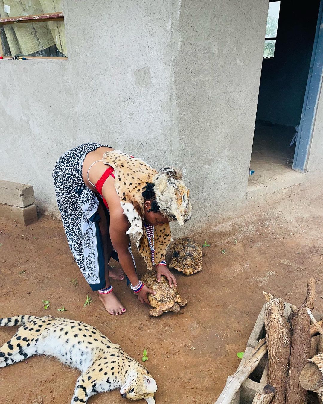 Zodwa Wabantu owns a leopard and tortoises