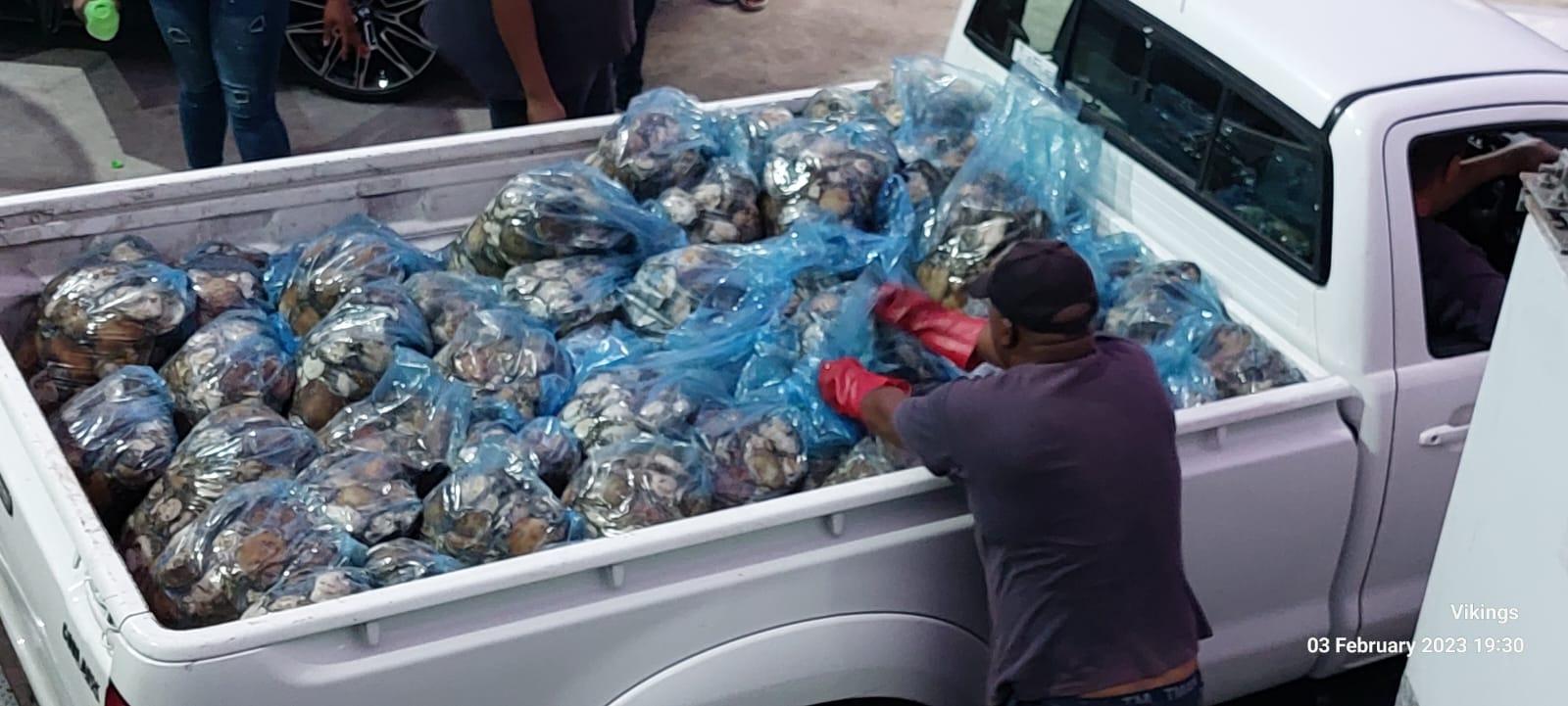 Police seize millions of rands worth of illegally harvested sea wildlife