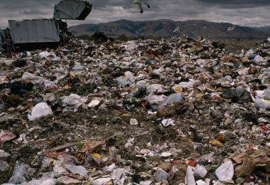 environmental pollution