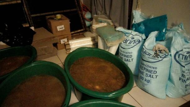 Six bust in Cape Town for R2.8m worth of abalone
