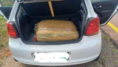 Police officer among suspects arrested for dagga possession in Burgersfort