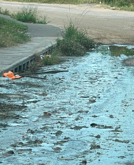 Residents angry over sewage spills in Sydenham
