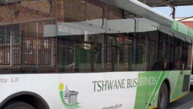 Tshwane bus services