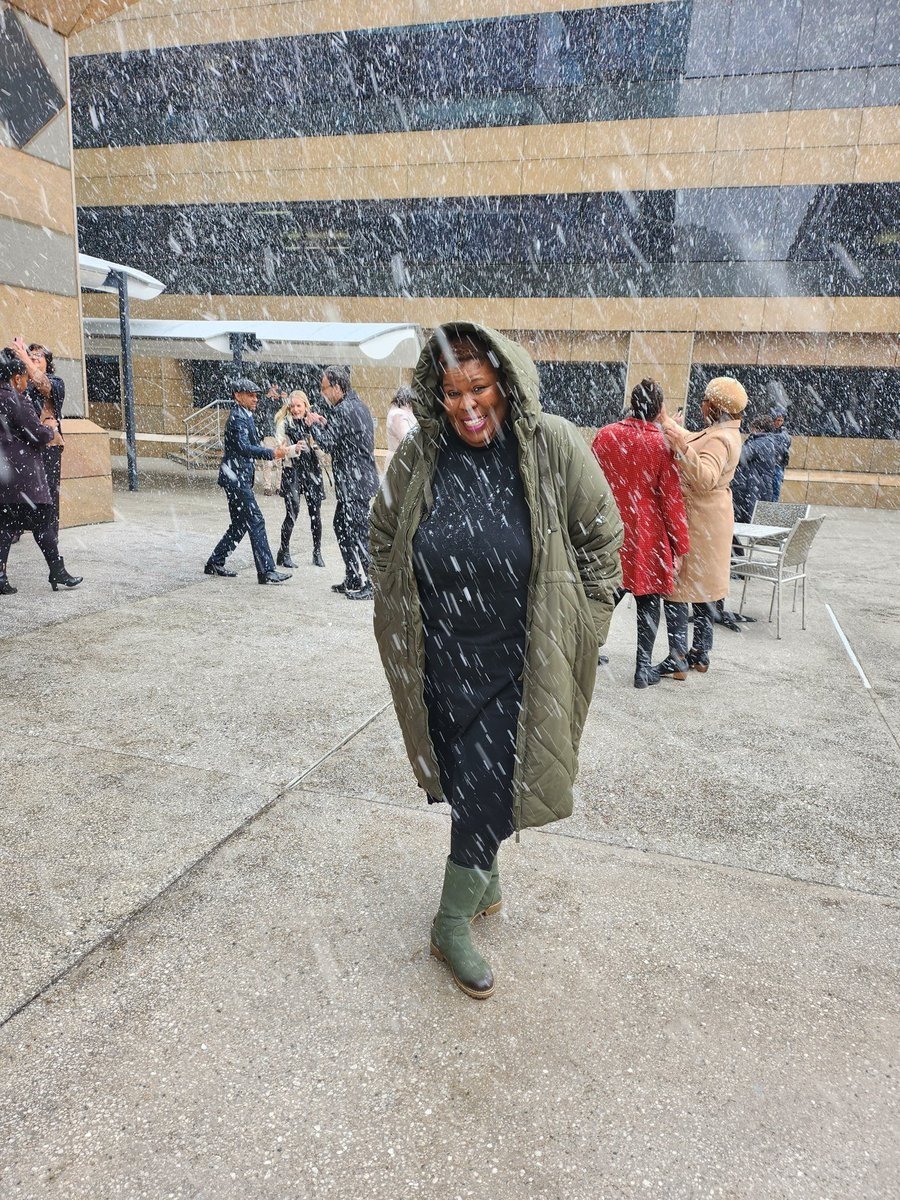 Snowfall