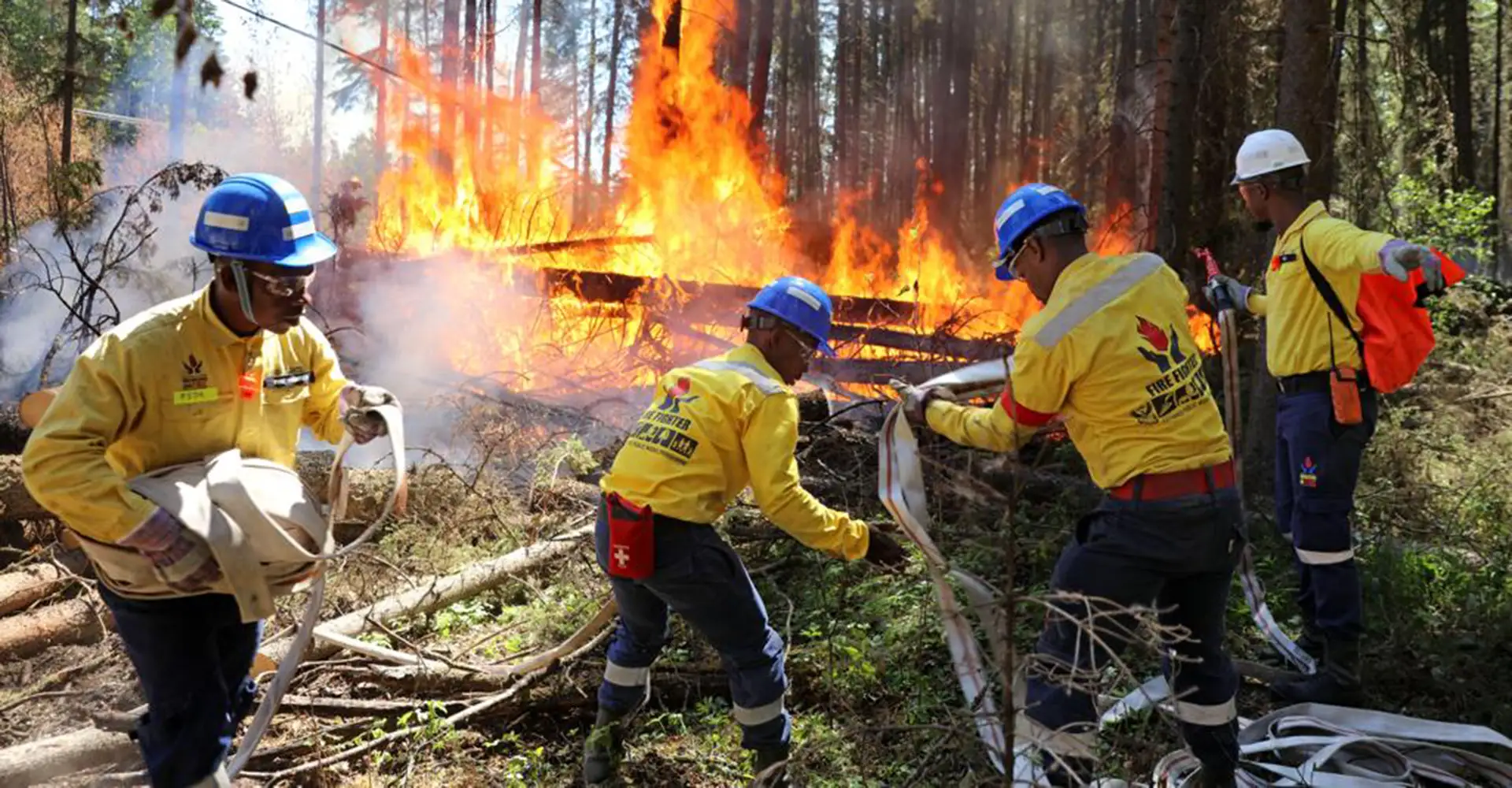 SA firefighters