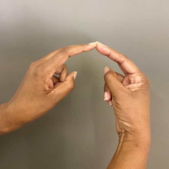Sign language