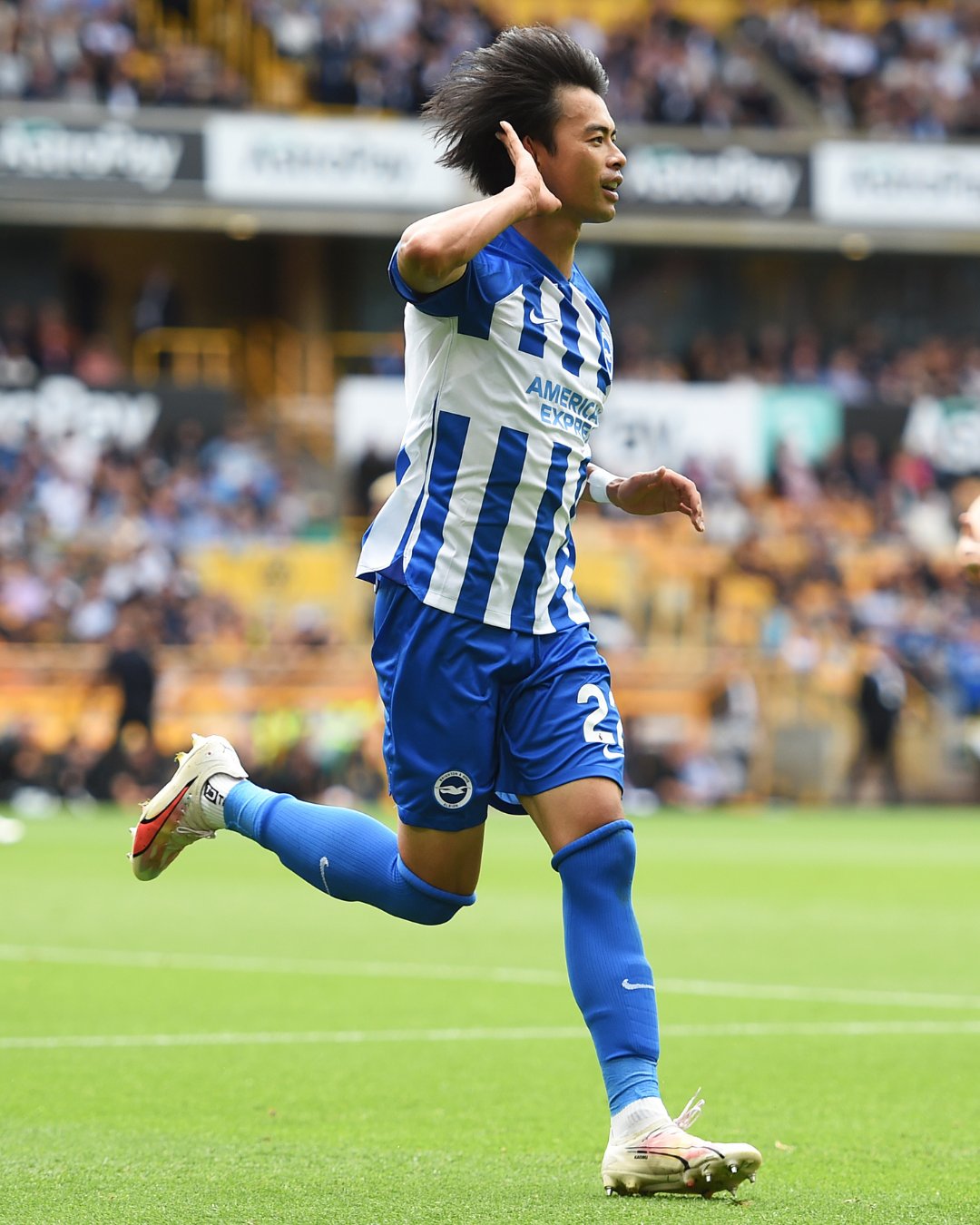 Wolves 1 - 4 Brighton
