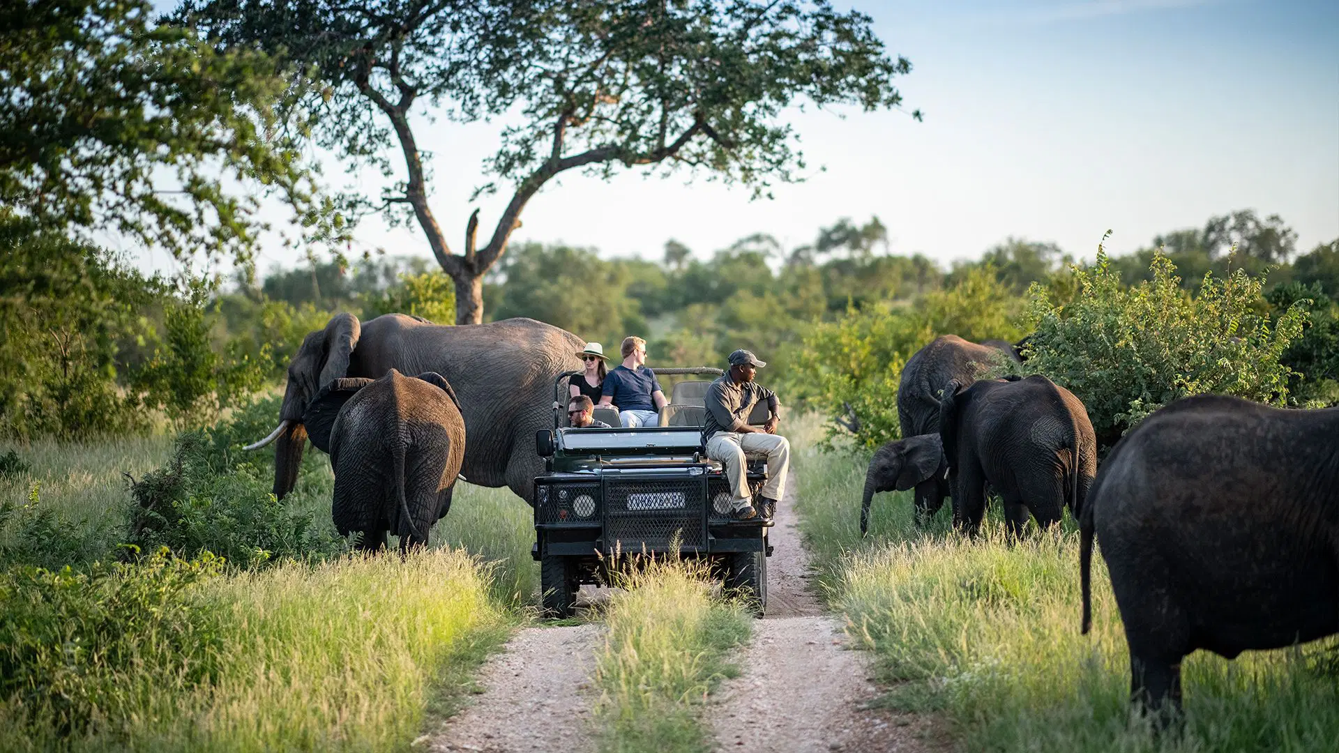 kruger national park