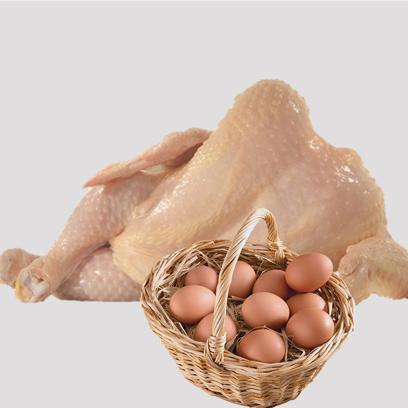 full chicken and eggs
