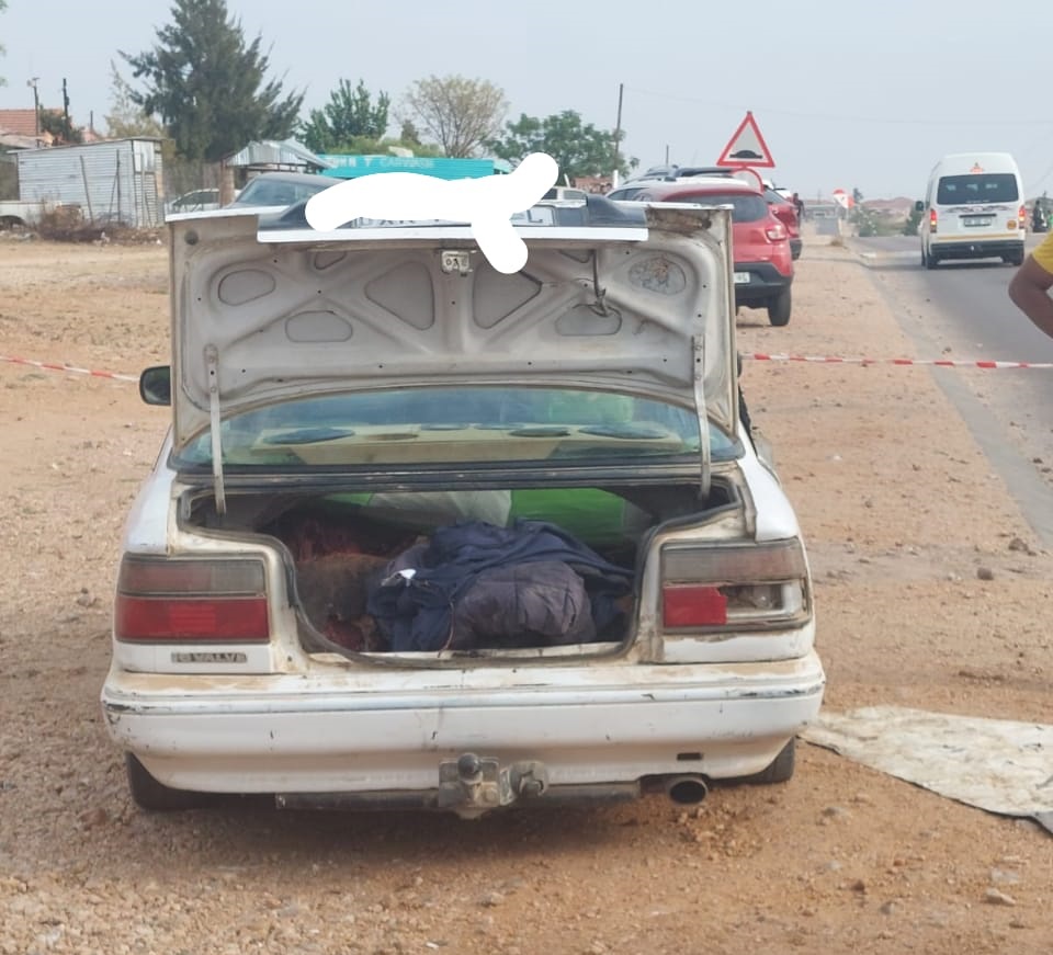 2 men nabbed for suspected stolen cattle in Limpopo