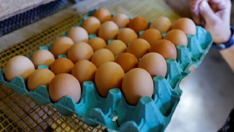 eggs