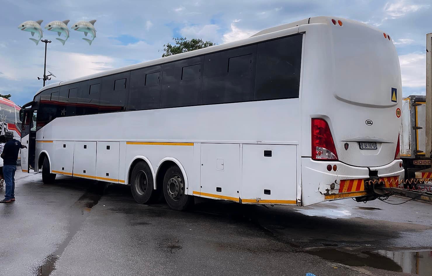Cross border bus