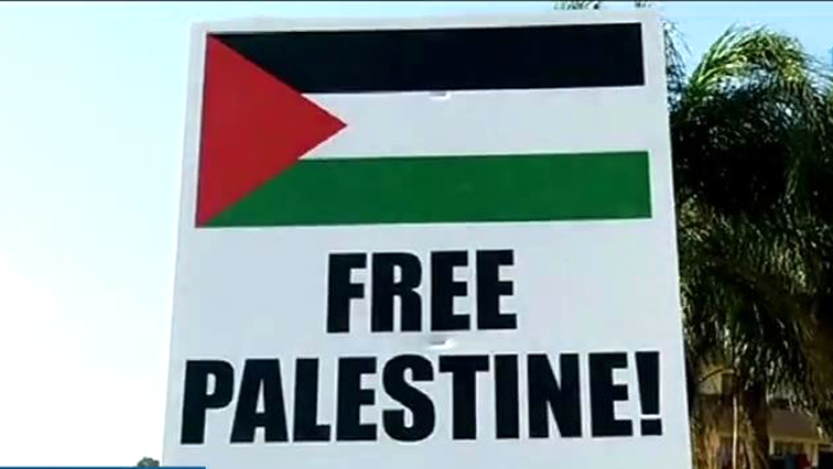 Pro-Palestine