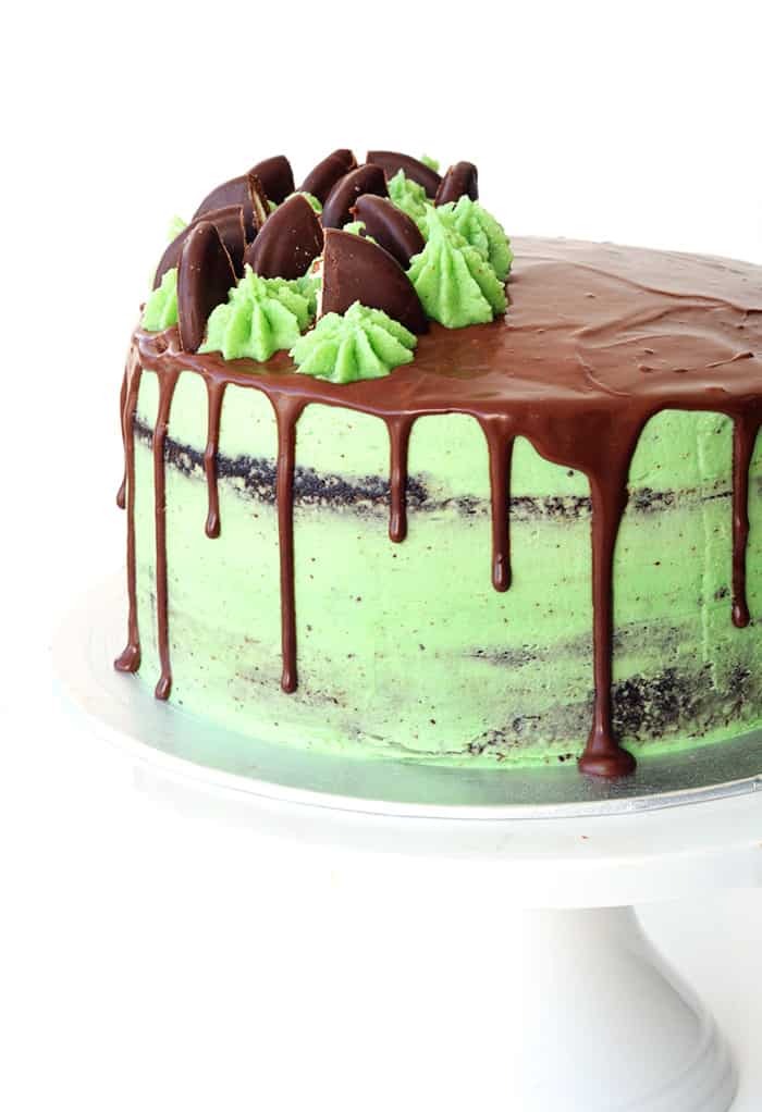 Choc-mint mousse cake recipe