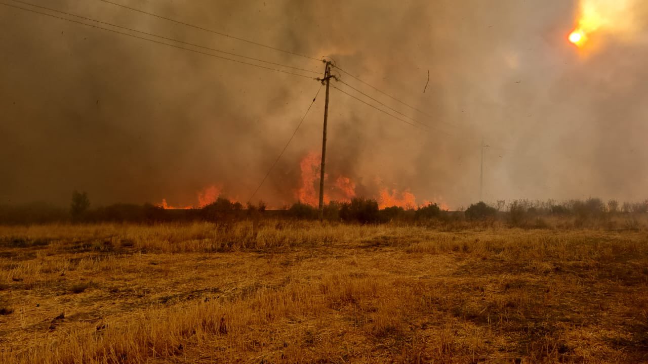 Wolseley fire