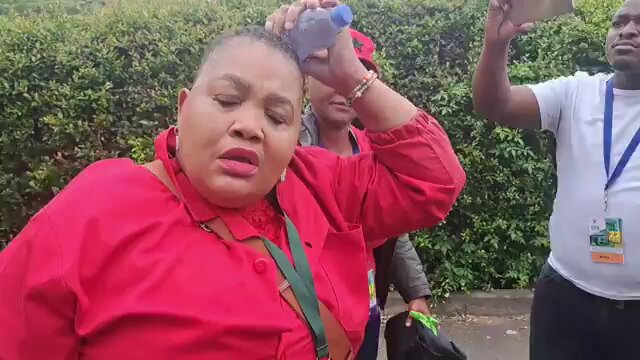 EFF ejected from Eastern Cape SOPA by security services