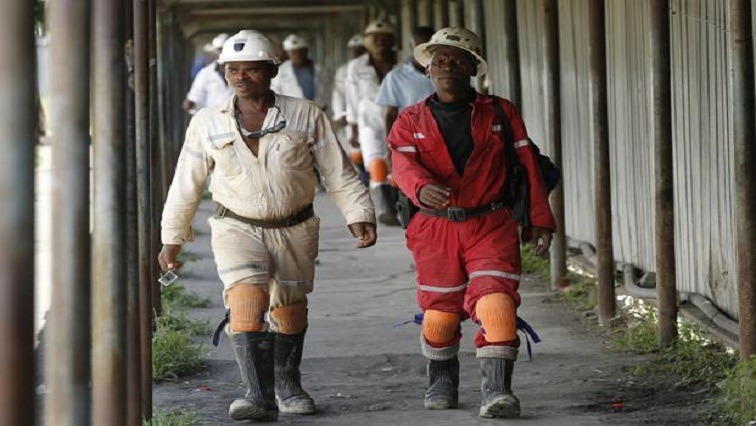 Saftu