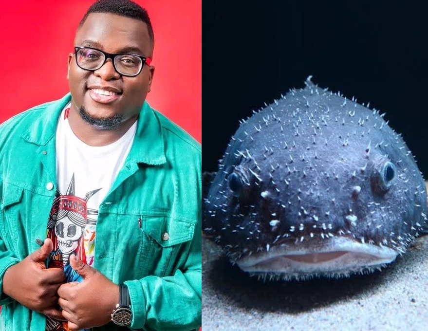 Sol Phenduka responds after Cyan Boujee called him a blue blob fish