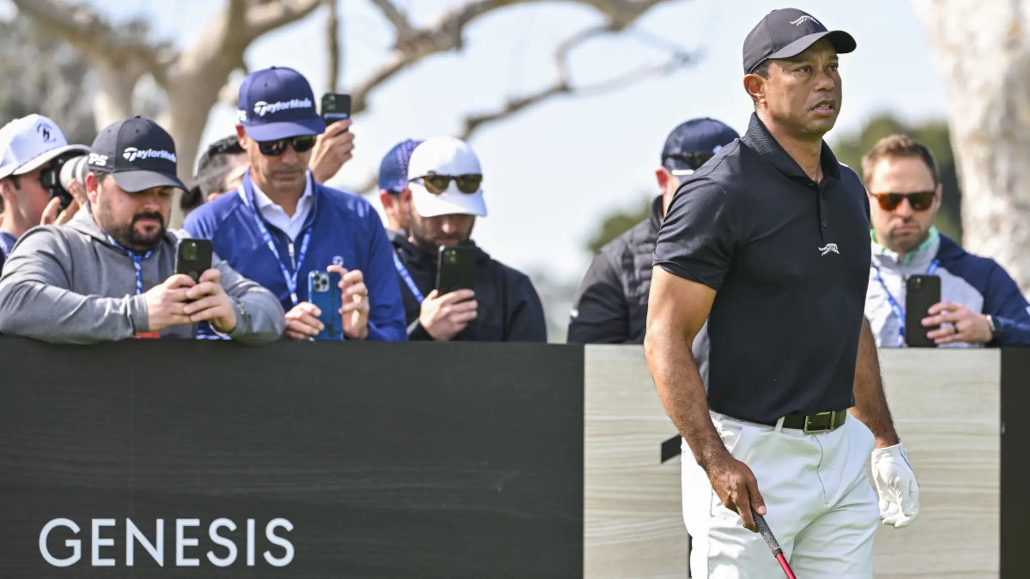 Tiger Woods