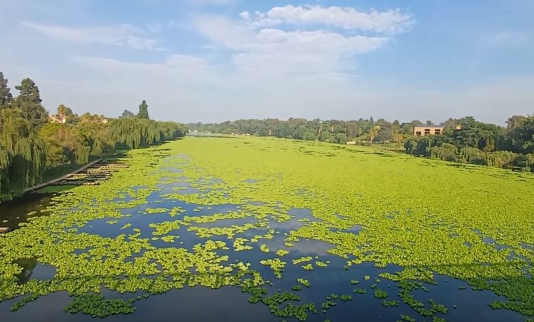 Vaal River clean-up