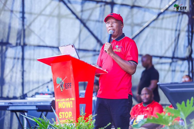 Julius Malema