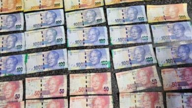 Dye-stained cash uncovered in Delmore Park, Ekurhuleni