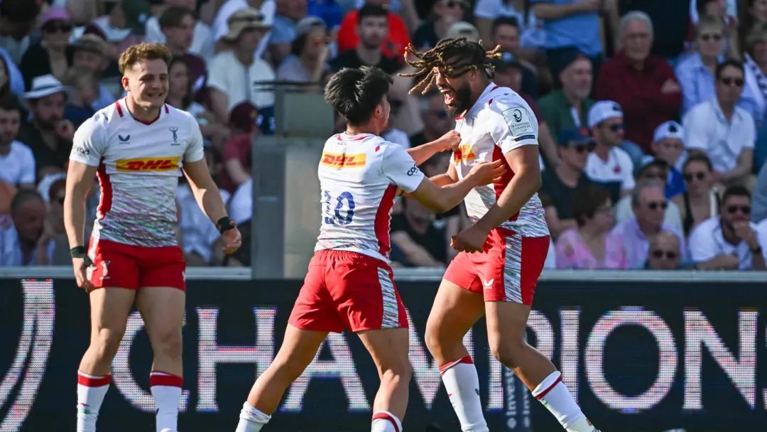 Harlequins