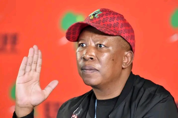 Julius Malema