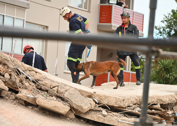 Praise for sniffer dogs playing crucial role in George building collapse tragedy