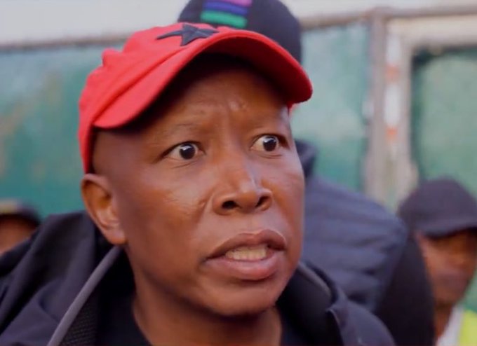 Julius Malema