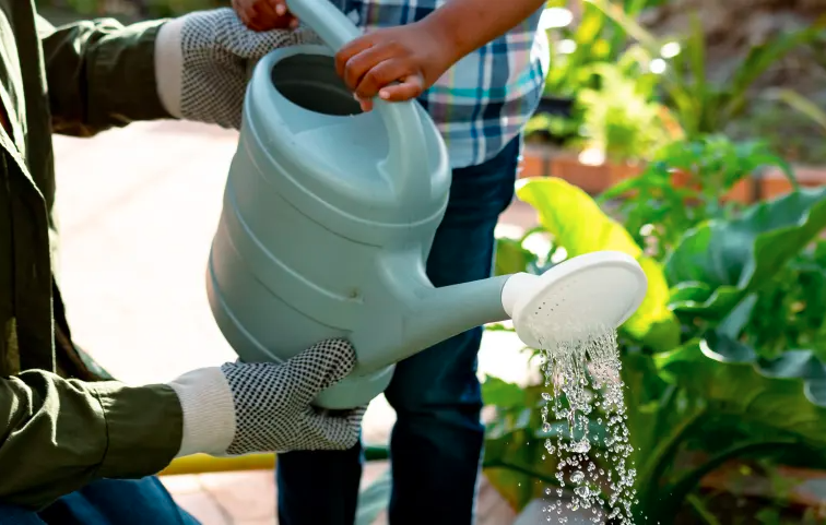 Gardener