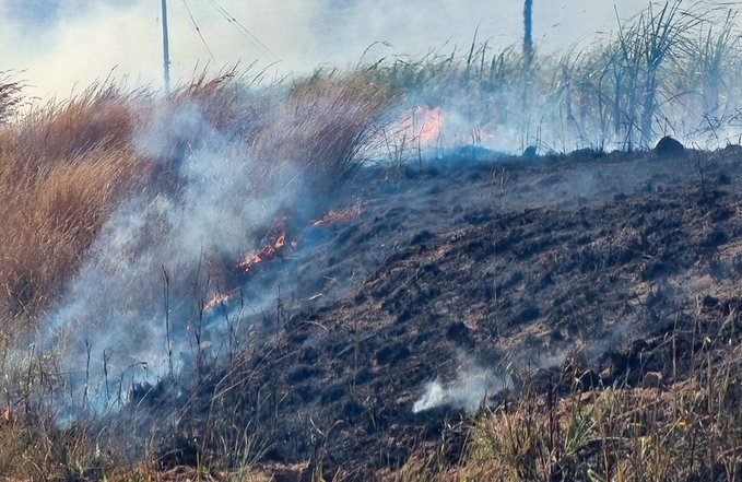 firefighters killed in runaway fires in KZN