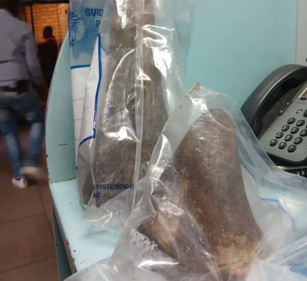 Vehicle from KZN intercepted in Mpumalanga transporting rhino horns