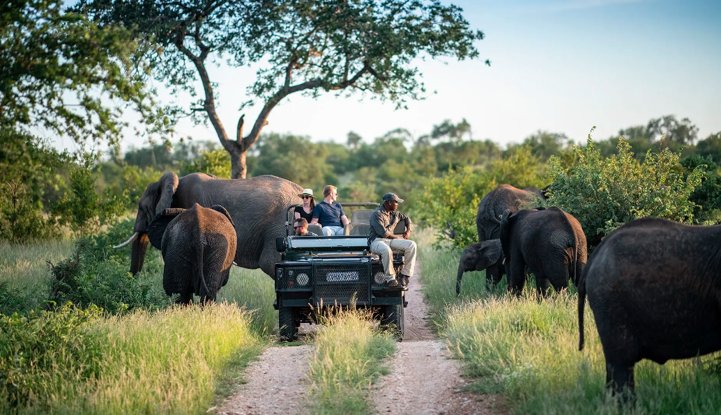 Kruger National Park