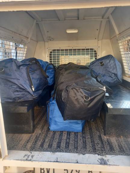 Western Cape police make abalone bust