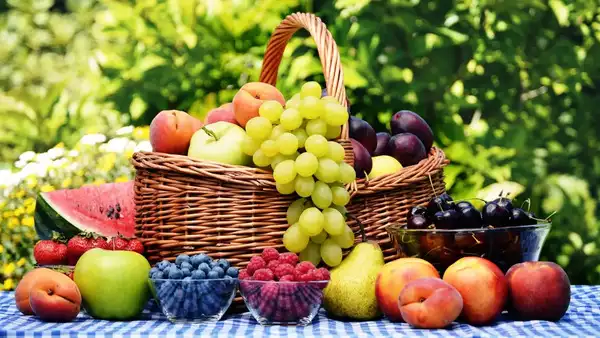 fruits