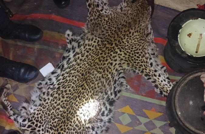Man released on R300 bail after he was found with animal paws & leopard carcass