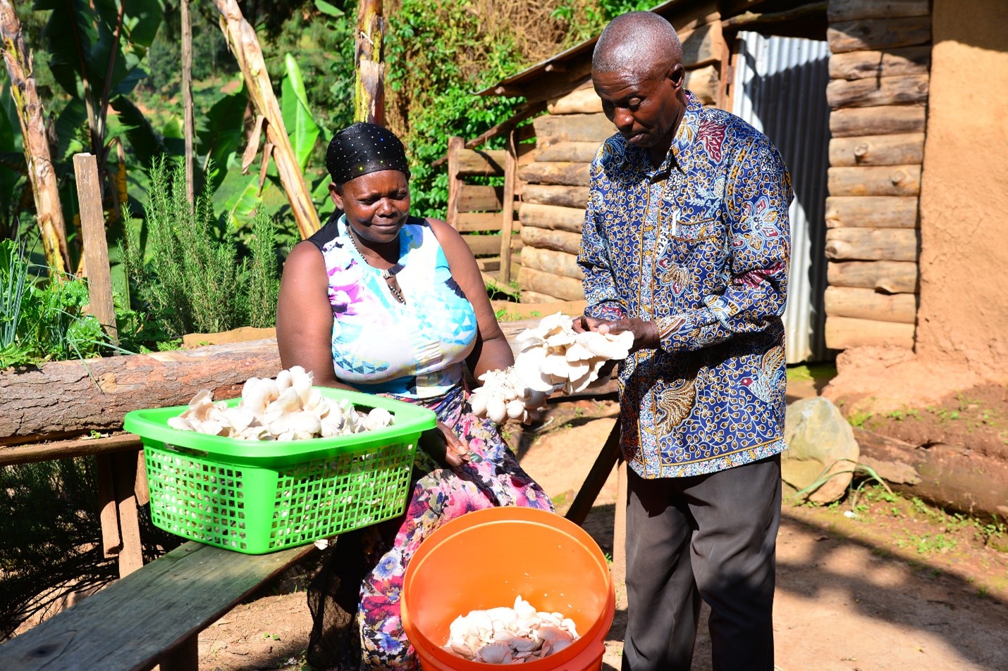 Mushroom saves The International Crane Foundation