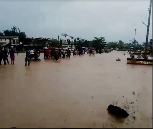 Niger flood