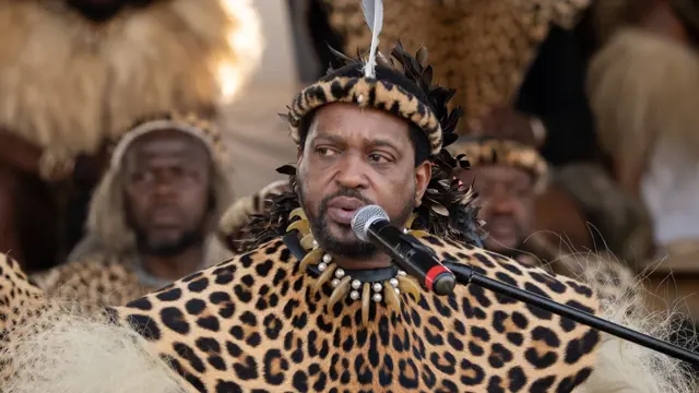 Zulu regiments