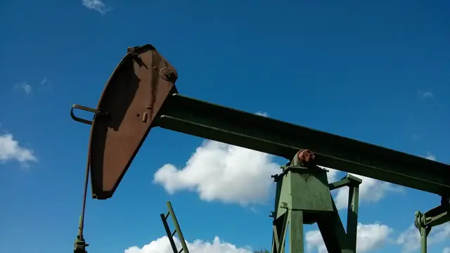 Oil