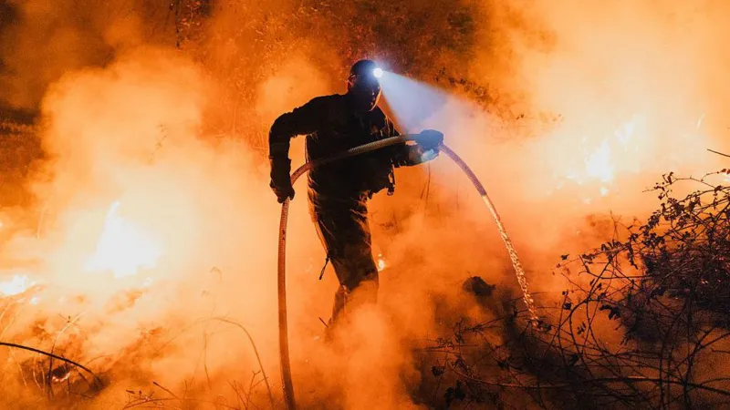 Spain and Portugal fires